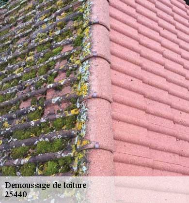 Demoussage de toiture  cessey-25440 Prestot Rénovation 25